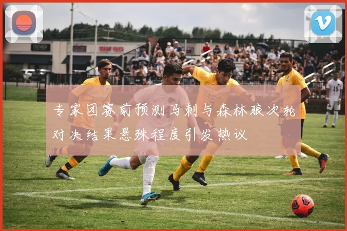 专家团赛前预测马刺与森林狼次轮对决结果悬殊程度引发热议